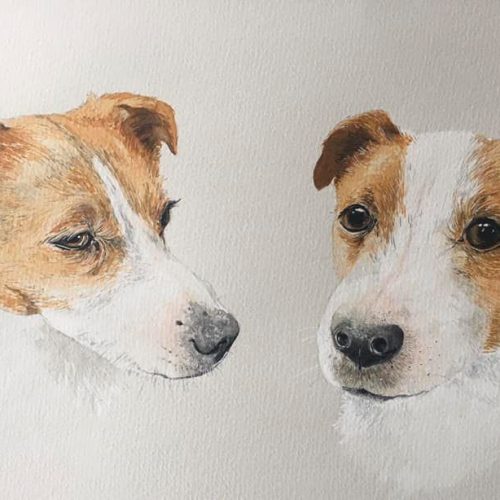 Dog Portraits